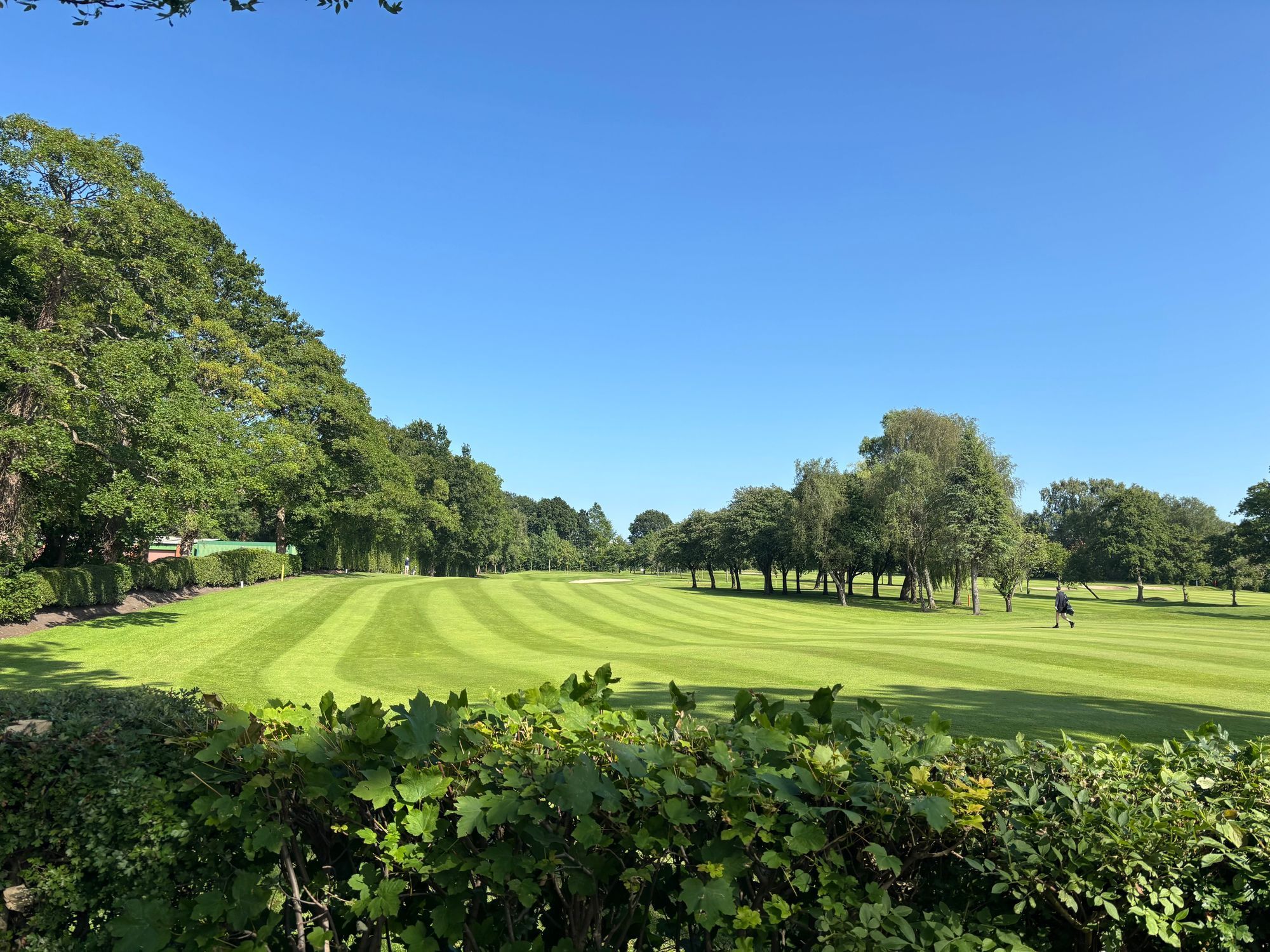 Aerial view of a golf green with two sand bunkers and long tree shadows on the grass.